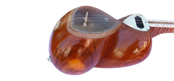 Electro-Acoustic Tar with Humbucker Pickup MET-4