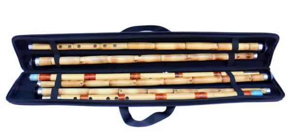 Hard Case For Ney DHN-3