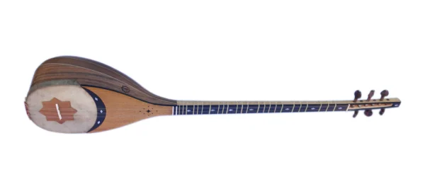 Professional Shourangiz MSH-405