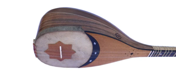 Professional Shourangiz MSH-405