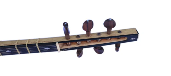 Professional Shourangiz MSH-405