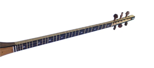 Professional Shourangiz MSH-405