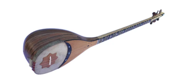 Professional Shourangiz MSH-405