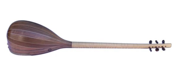 Professional Shourangiz MSH-405