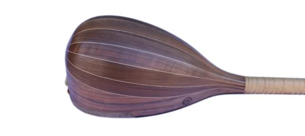 Professional Shourangiz MSH-405