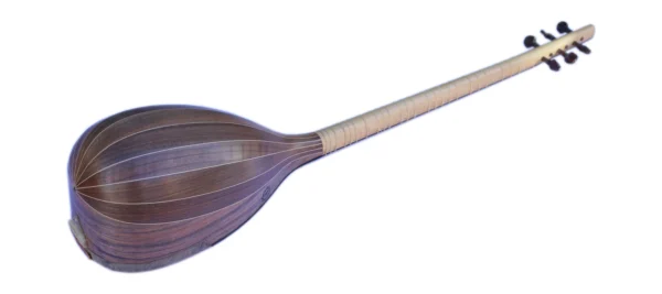 Professional Shourangiz MSH-405