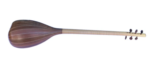 Professional Shourangiz MSH-405