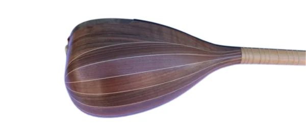 Professional Shourangiz MSH-405