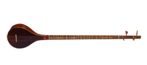 Mulberry Setar By Davood DS-3