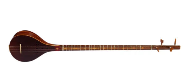 Mulberry Setar By Davood DS-3