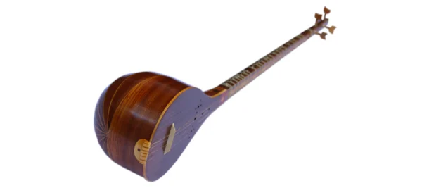 Mulberry Setar By Davood DS-3