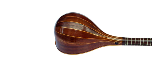 Mulberry Setar By Davood DS-3