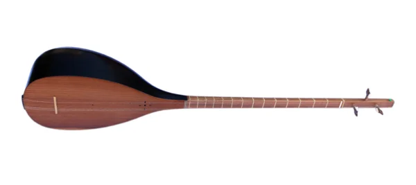 Professional Persian Tanboor By Movlana MOT-405