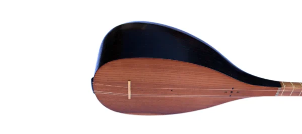 Professional Persian Tanboor By Movlana MOT-405