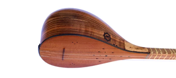 Special Figured Walnut Persian Setar MOS-4