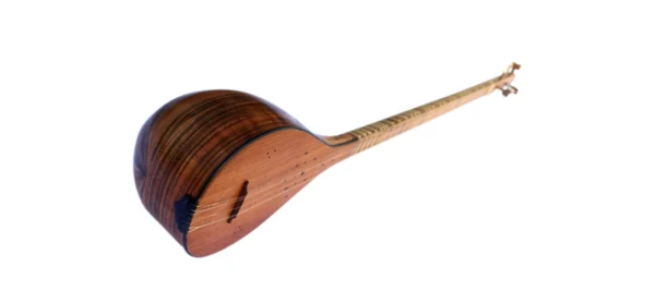 Special Figured Walnut Persian Setar MOS-4