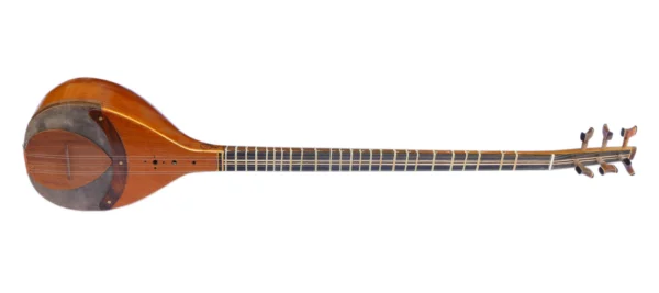 Six Strings Shourangiz Setar ZSH-4