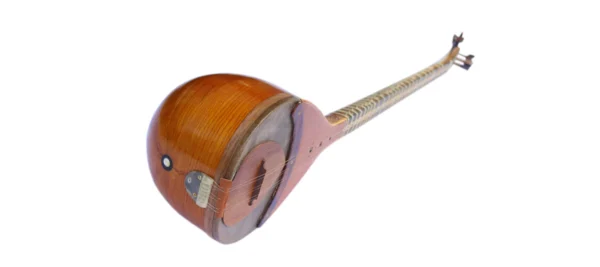 Six Strings Shourangiz Setar ZSH-4