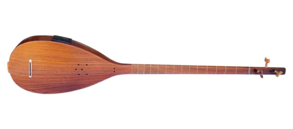 Electric Acoustic Tanboor With Equalizer ETM-4