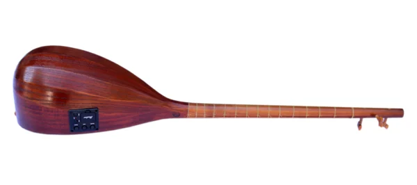 Electric Acoustic Tanboor With Equalizer ETM-4