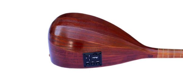 Electric Acoustic Tanboor With Equalizer ETM-4