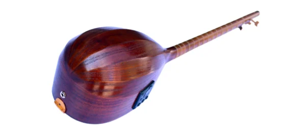 Electric Acoustic Tanboor With Equalizer ETM-4