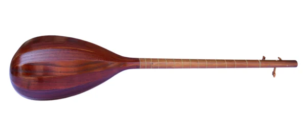 Electric Acoustic Tanboor With Equalizer ETM-4