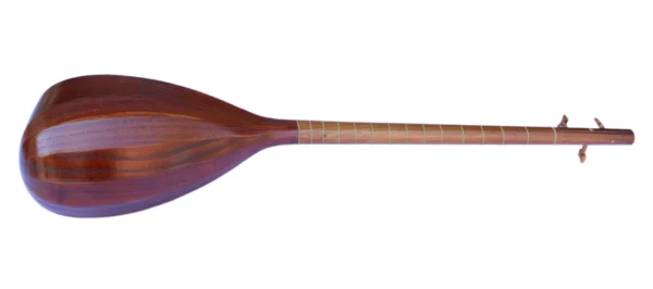 Electric Acoustic Tanboor With Equalizer ETM-4