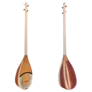 Professional 4 String Shourangiz MSH-305