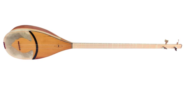 Professional 4 String Shourangiz MSH-305